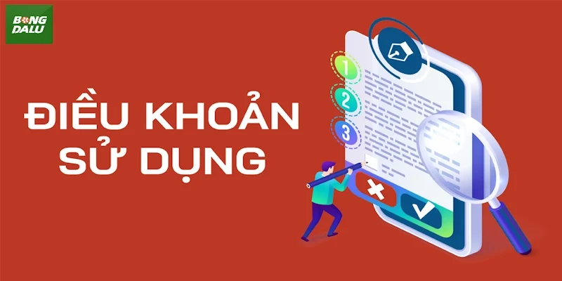 Điểm qua một vài điều khoản sử dụng chi tiết của bongdalu