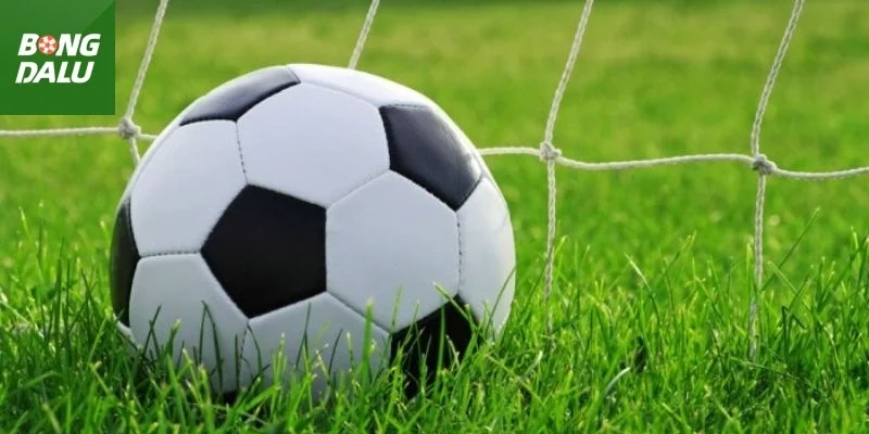 Địa điểm cập nhật tỷ số bóng đá đáng tin cậy hàng đầu thị trường